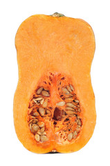 butternut squash