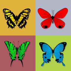 Obraz na płótnie Canvas Four butterflies