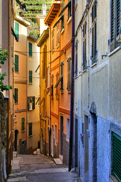 Fototapeta Colorful narrow street in the Cinque Terre, Italy