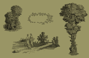 Trees set illustration