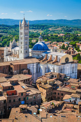 Siena Duomo roof view - obrazy, fototapety, plakaty