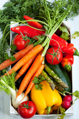 Different fresh vegetables