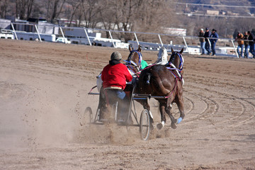 chariot racing
