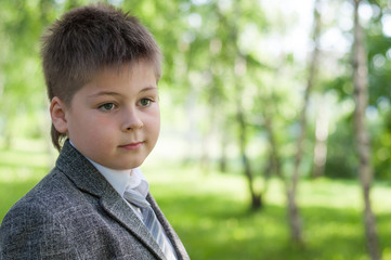 The Boy in the birch forest