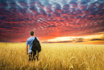 Man in yellow wheat meadow.