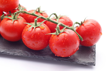 Rosée sur les tomates