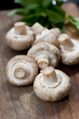 mushrooms
