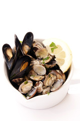 vongole e cozze su fondo bianco