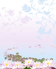 Water the plant with lily