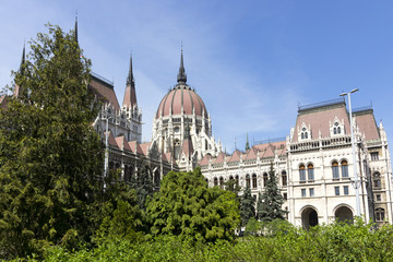 Obraz premium budapest parliament in trees