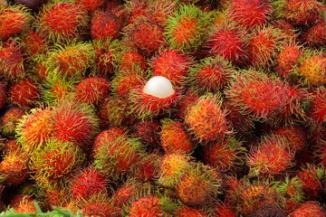 Fototapeta premium Rambutan fruit