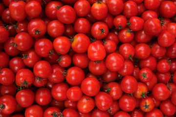 tomato