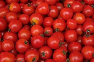 Tomato