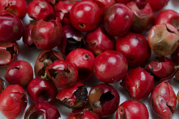 ピンクペッパー