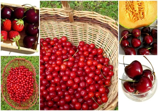 cerises