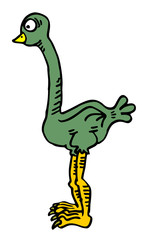Ostrich illustration