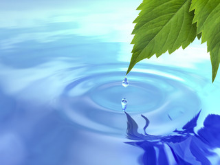 Naklejka na ściany i meble Drop fall from leaf on ripple water.