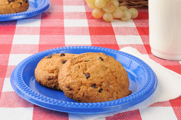 Chocolate chip cookies on a picnic table