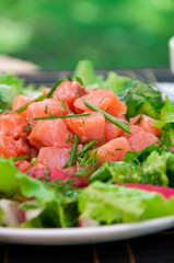 Freshness Salmon Salad