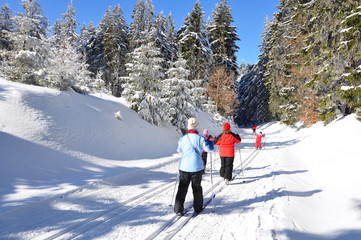 Skifahrer im Thüringer Wald