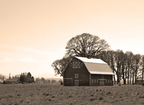 Vintage Barn In Field Sepia Tone