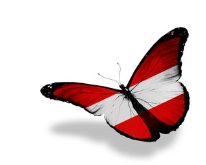 Austrian flag butterfly flying, isolated on white background