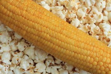 Pop corn and corn