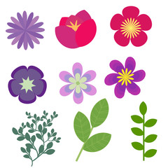 Decorative floral elements vector set
