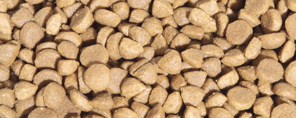 Crocchette per gatti