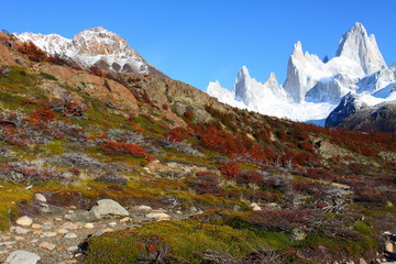 Fototapeta na wymiar Mt. Fitz Roy Los Glaciares National Park, Patagonia, Argentyna