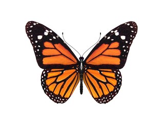digitale weergave van een monarchvlinder