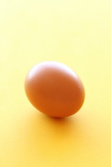 One brown egg
