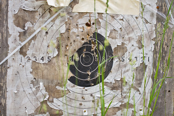 Old target
