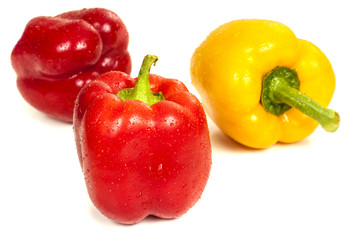 Yellow and red paprika