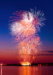Colorful firework in a night sky - 41887244
