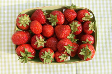 erdbeeren im korb