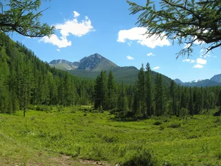Photo sur Plexiglas Été Summer mountain landscape in the valley Kuyguk. Gorny Altai