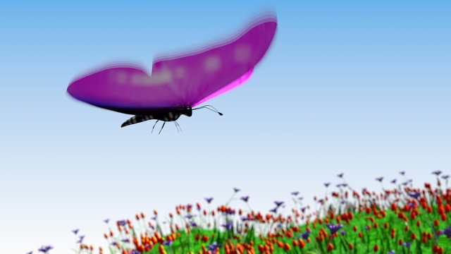 pink butterfly flying over a field of flowers