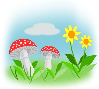 Yellow flowers and fly agaric.