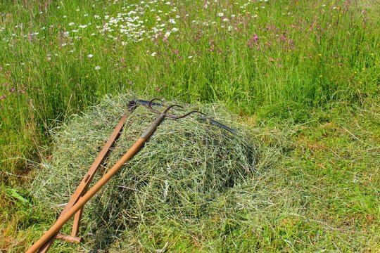 gartenarbeit heuernte