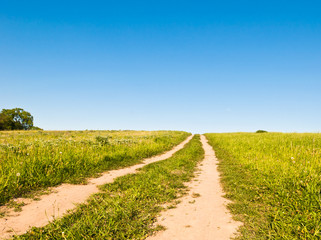 dirt road in a field