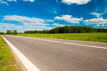 road and the meadows