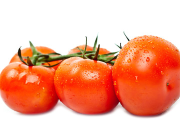 Fresh tomatoes with drops of dew
