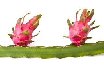 Dragon fruit