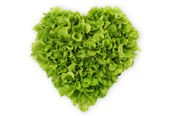 heart-shaped salad, lettuce on white background