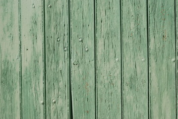 Fototapeta premium vieux bois