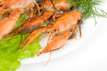 crayfish in salad