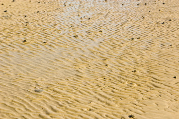 beach texture.