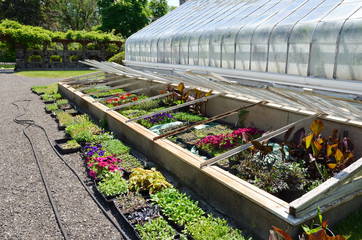 Garden Frames and greenhouse