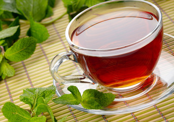 Cup of tea with mint